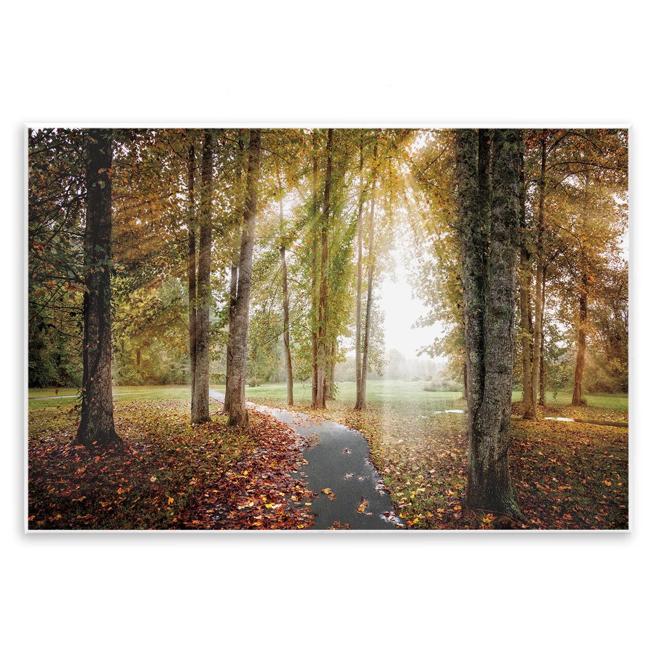 Stupell Industries Follow The Light Forest Path Wall Plaque, design by Celebrate Life Gallery